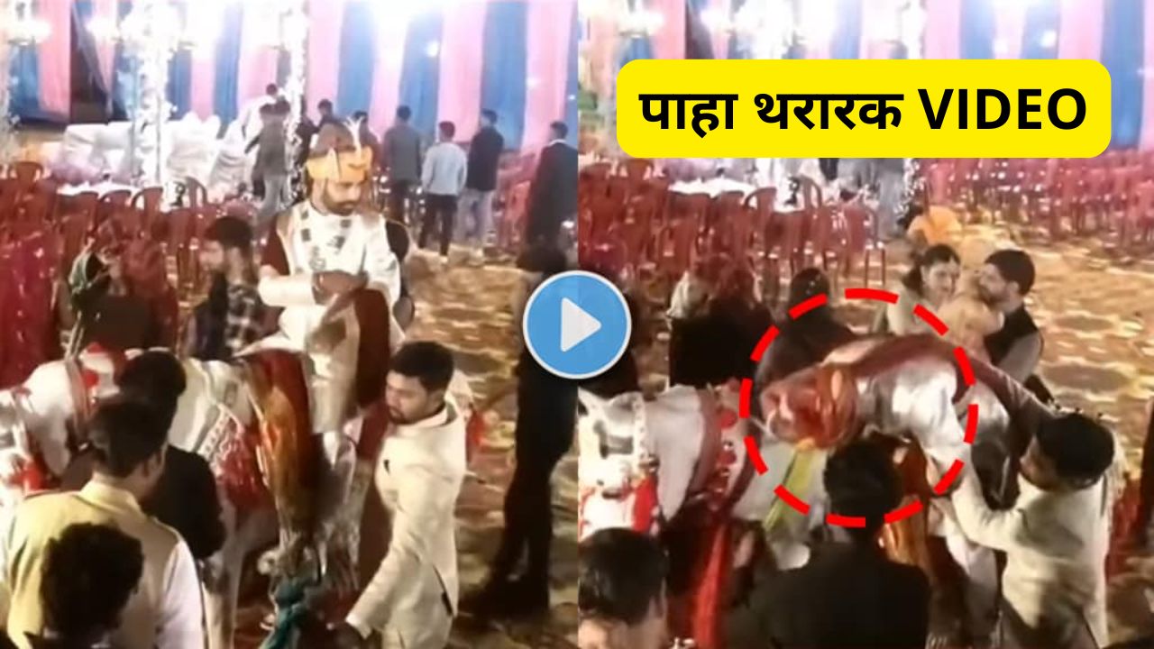 Groom Wedding Viral Video