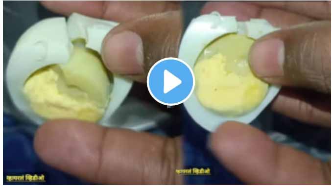 Shocking video of Artificial Eggs